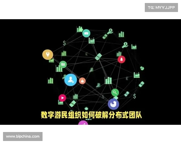 提升团队协作与作战效率的策略与实践探索 提升团队协作与作战效率的策略与实践探索