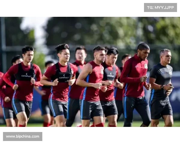 建业俱乐部的五大核心要素解析及其在中国足球发展中的作用